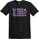 Old Bridge Jr. Knights Softstyle T-Shirt